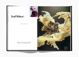 Moussaieff Press Book 2009 Page 194 Michael Brosnan