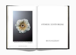 Moussaieff Press Book 2009 Page 196 Michael Brosnan